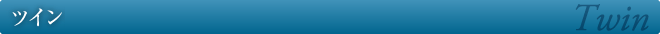 ツイン