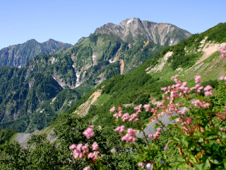 白馬五竜高山植物園