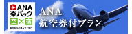 ANA 航空券付
