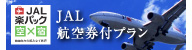 JAL 航空券付