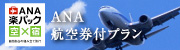 ANA航空券付プラン