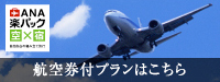 ANA航空券付