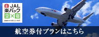 JAL 航空券付ダイナミックパッケージ